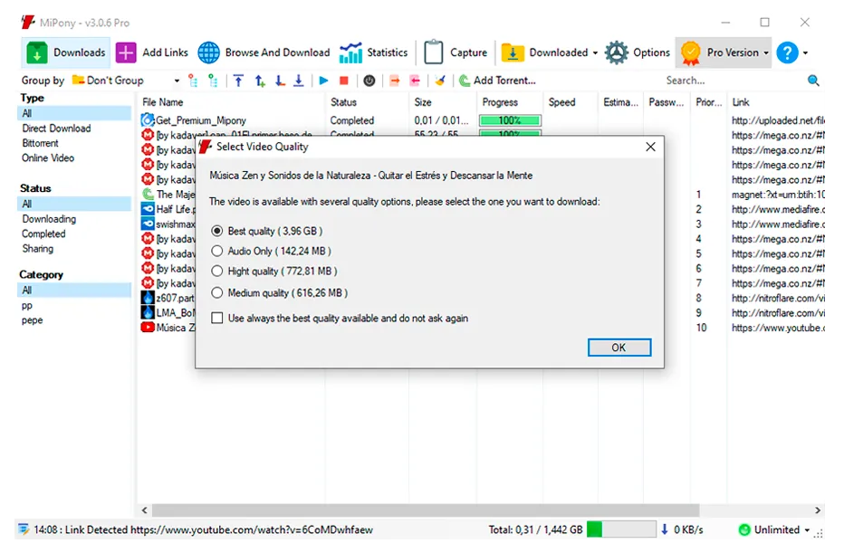 Interfaz de Mipony para Windows 6